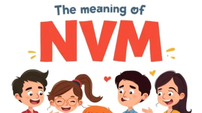 What Does NVM Mean